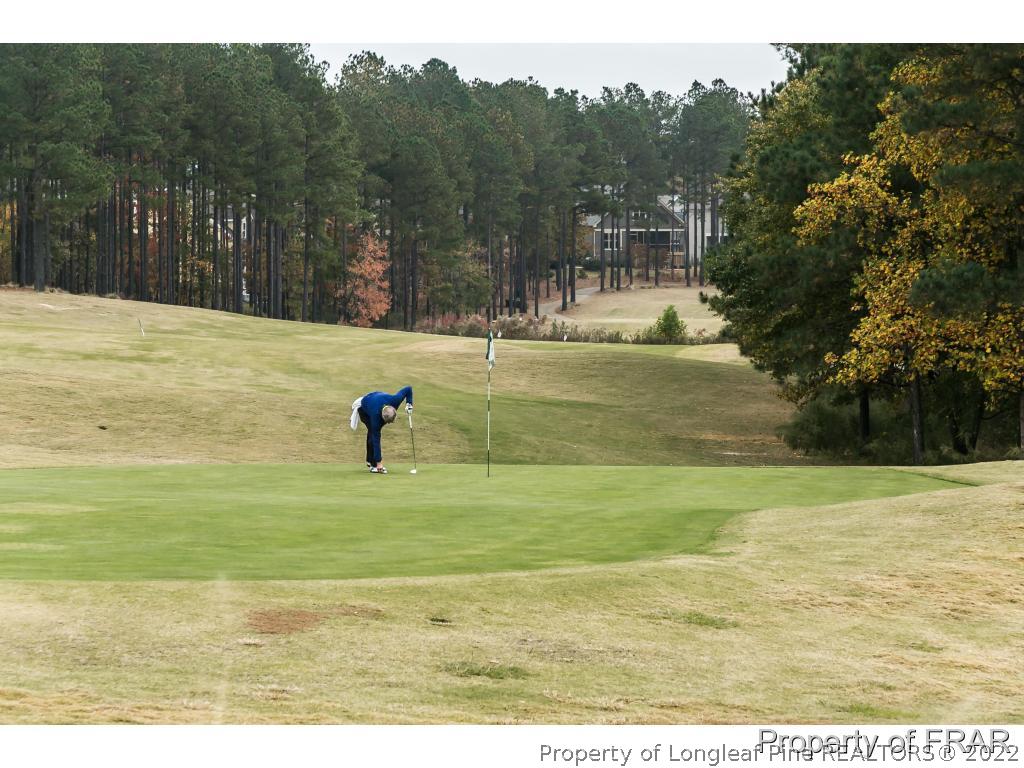 70 Barons Run East Spring Lake, NC 28390 - Photo 34 of 34 Gallery Image 34