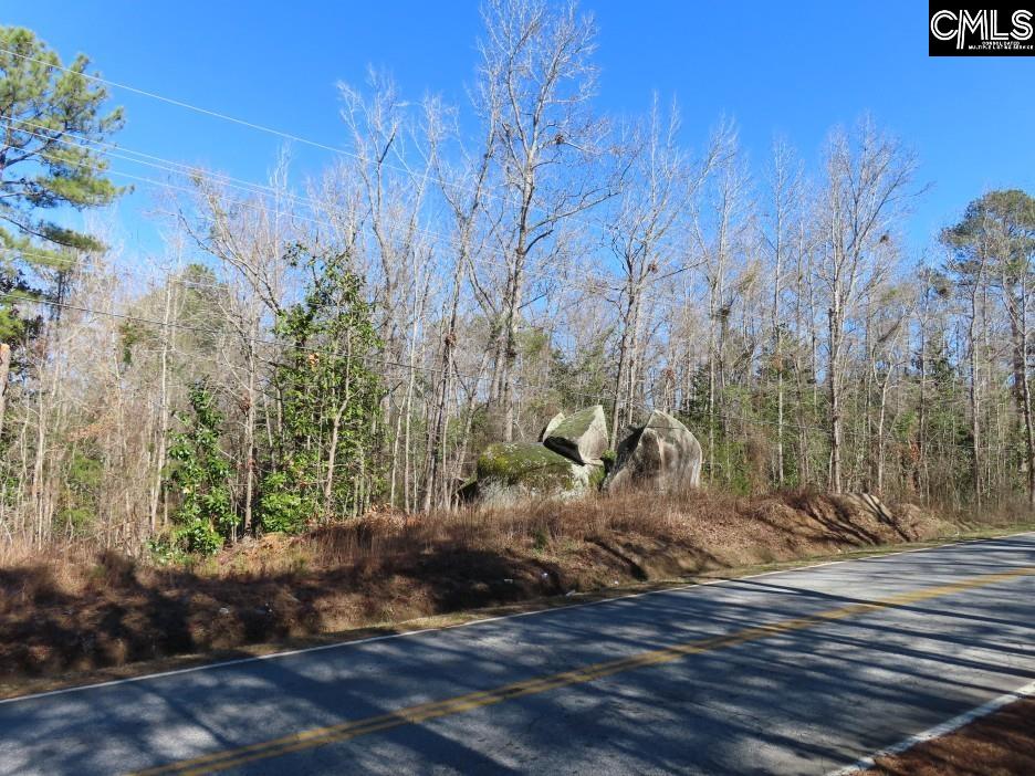 0 Rion Road Winnsboro, SC 29180 - Photo 9 of 42