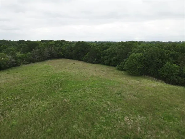 a view of a field with grass and trees