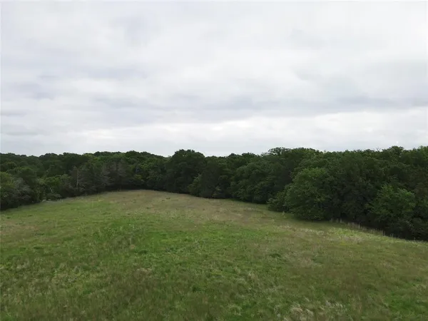 a view of a lush green space with sea