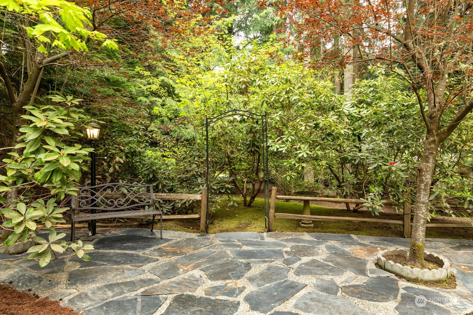 5003 East Harbor Road Freeland, WA 98249 - Photo 34 of 40 a view of backyard with large trees