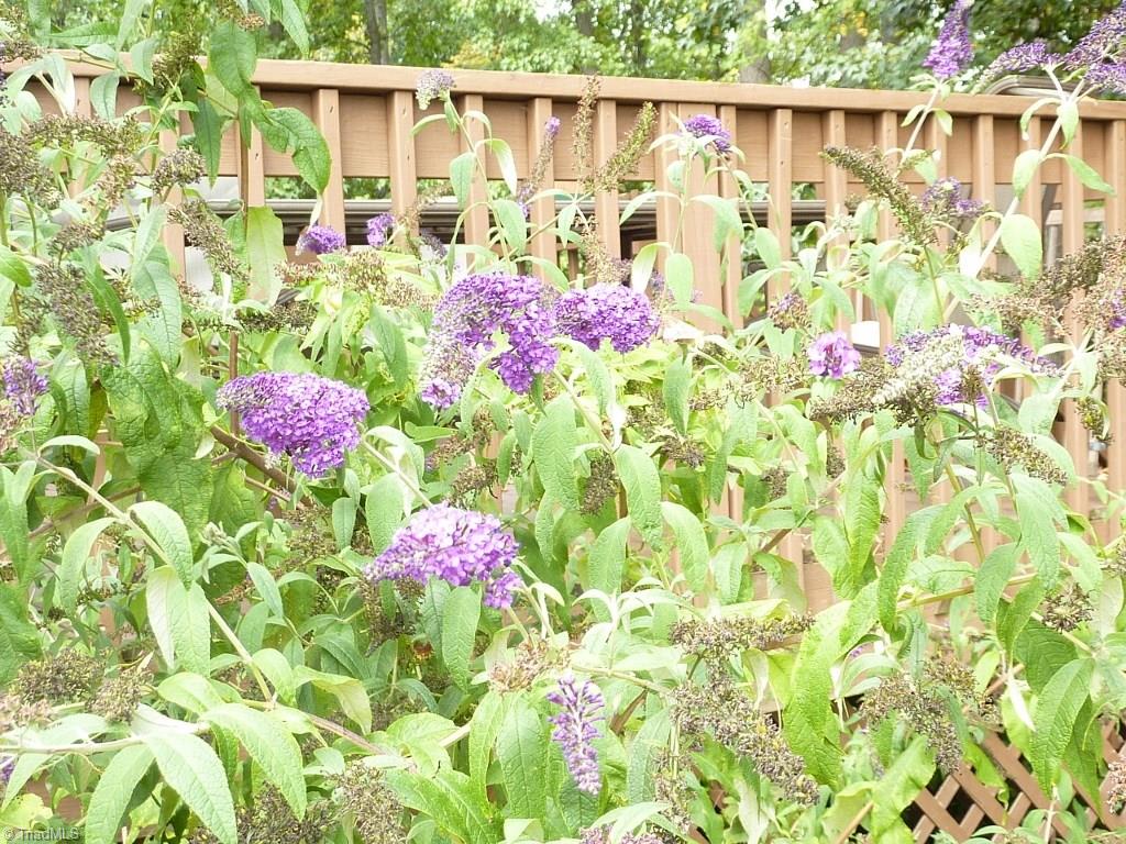 6325 Armsby Road Clemmons, NC 27012 - Photo 30 of 30 Summer and Fall brings butterflies to the butterfly bush!