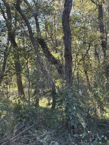 $28,000 | 0 Oak Forest Drive, Guy, TX 77444