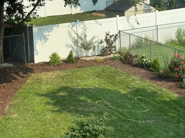 a view of a backyard