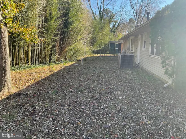 a view of a yard with large trees