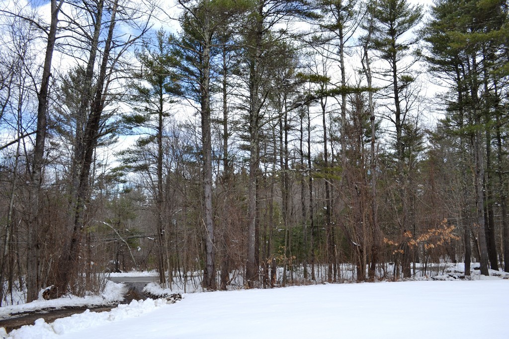 128 Squannacook Road, Unit B Shirley, MA 01464 - Photo 19 of 19