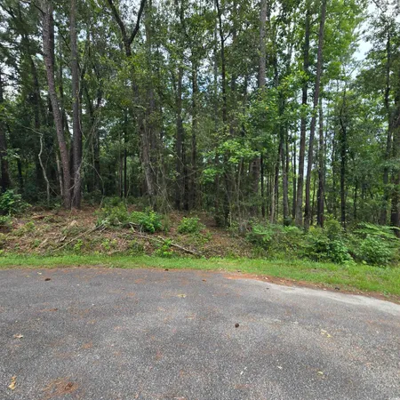 $89,900 | 1051 Irene Court, Conway, SC 29526