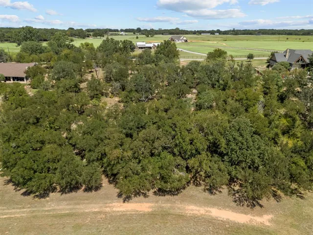 a view of a lake from a yard