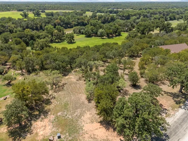 a view of a forest with a street