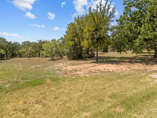 a view of a yard with a tree