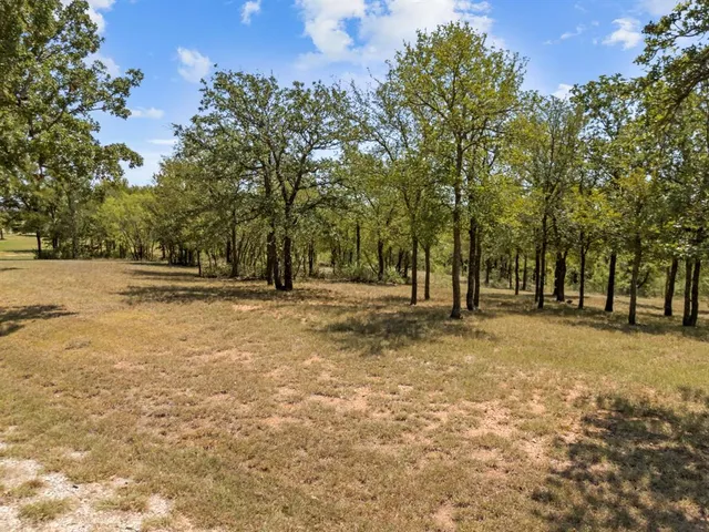 a view of outdoor space with trees