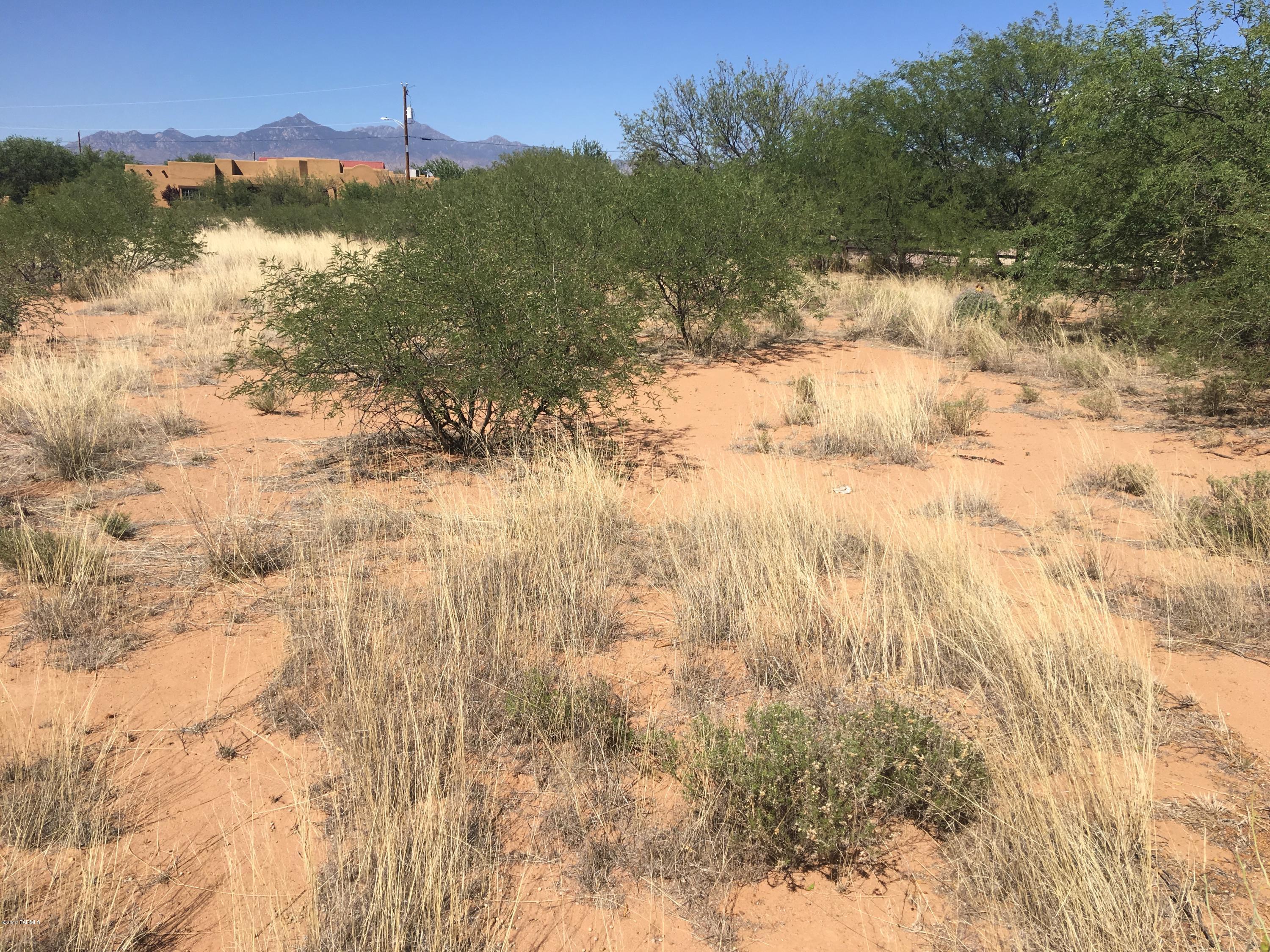 1711 Camino Barrera Rio Rico, AZ 85648 - Photo 3 of 7