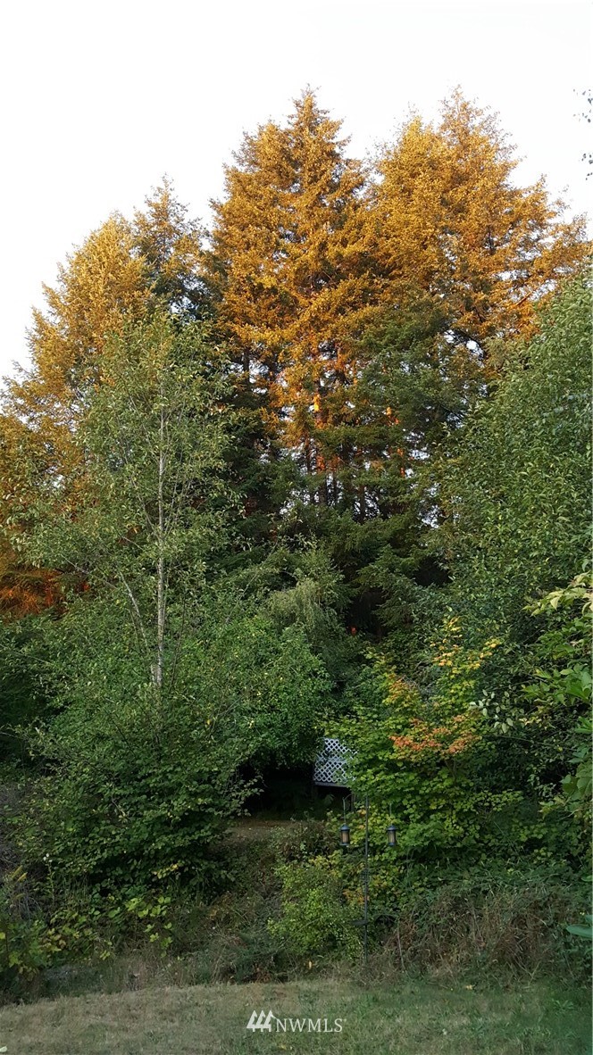 600 North Summit Road McCleary, WA 98557 - Photo 21 of 24 Gallery Image 21
