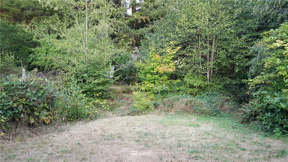 600 North Summit Road McCleary, WA 98557 - Photo 22 of 24 Gallery Image 22