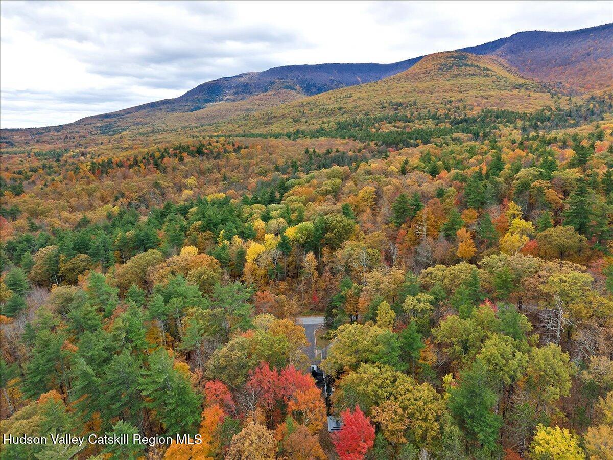 Lot #4 Storks Nest Road Round Top, NY 12473 - Photo 1 of 11 a view of city and mountain