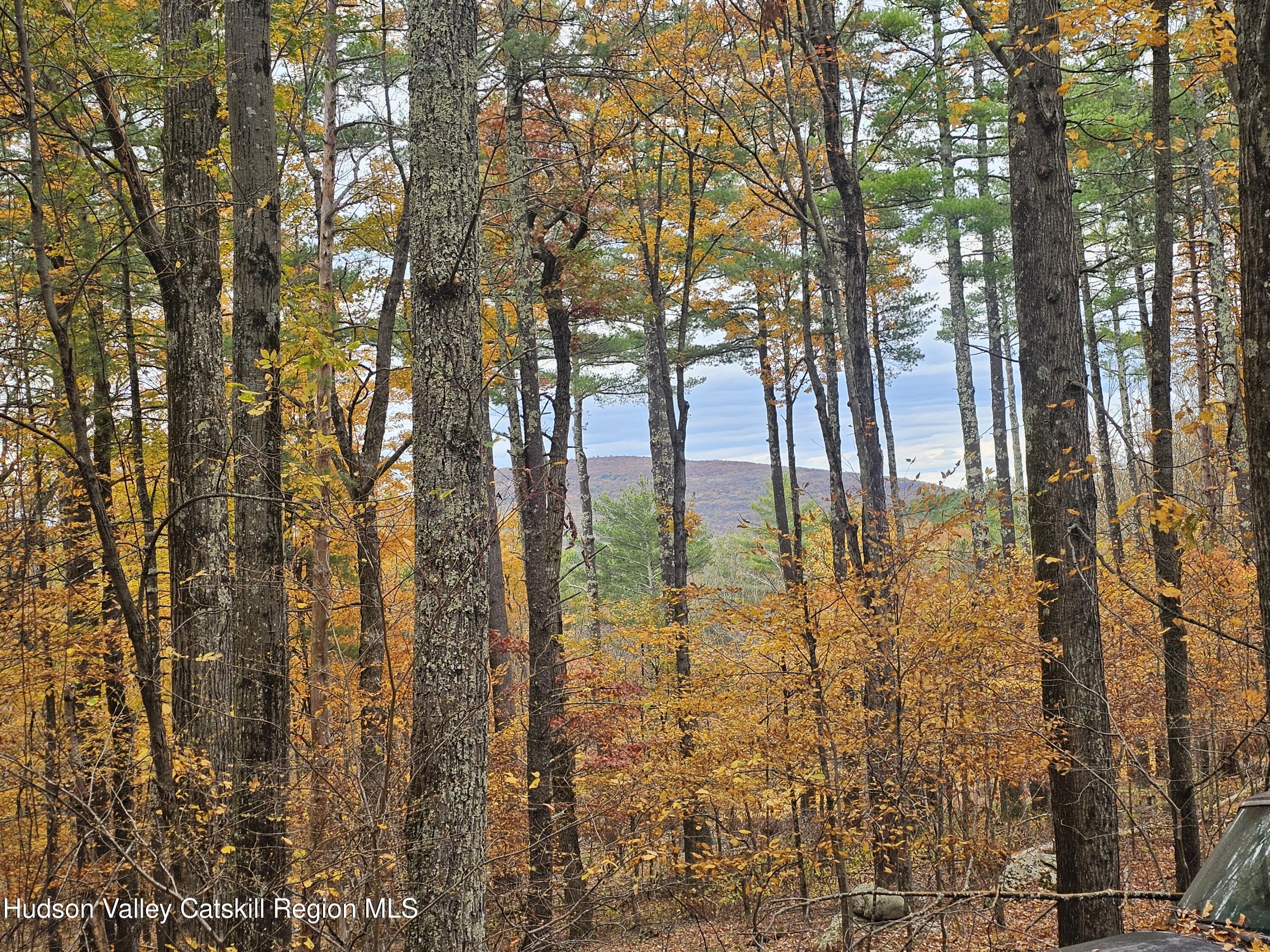 Lot #4 Storks Nest Road Round Top, NY 12473 - Photo 3 of 11 a view of swimming pool from a tree