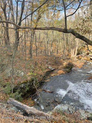 Lot #4 Storks Nest Road Round Top, NY 12473 - Photo 4 of 11 a view of a yard with large tree
