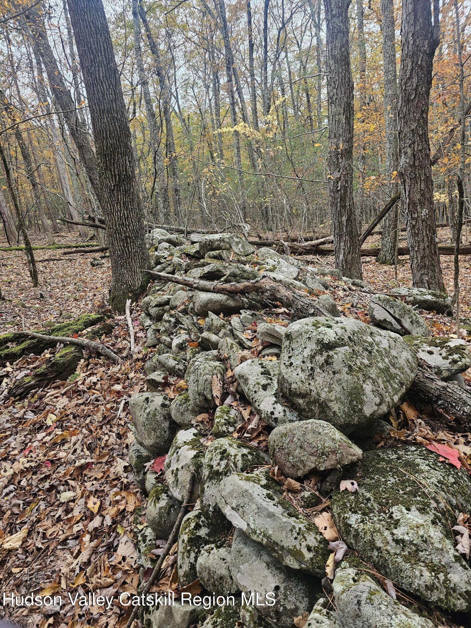 Lot #4 Storks Nest Road Round Top, NY 12473 - Photo 5 of 11 a view of a yard with a tree