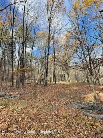 a view of a yard with trees