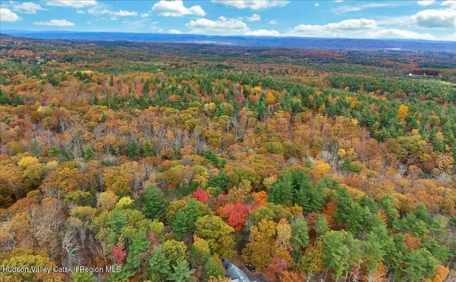 a view of a city with lush green forest