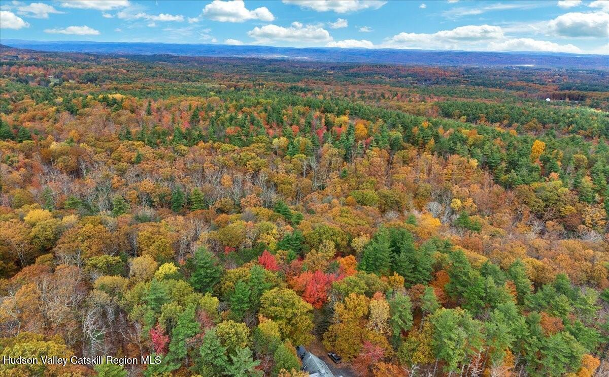 Lot #4 Storks Nest Road Round Top, NY 12473 - Photo 8 of 11 a view of mountain with an ocean