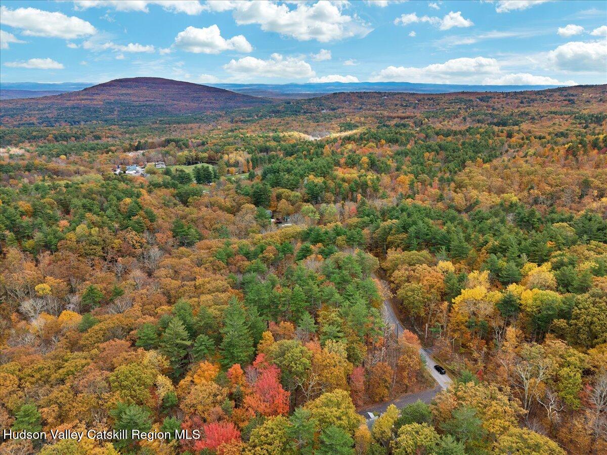 Lot #4 Storks Nest Road Round Top, NY 12473 - Photo 9 of 11 a view of a city with lush green forest
