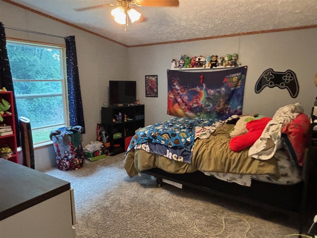 2905 East Jackson Road Walkerville, MI 49459 - Photo 32 of 64 Gallery Image 32