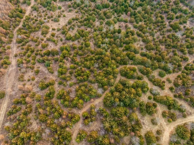 $389,000 | 18 Northeast 100th Avenue, Spickard, MO 64679