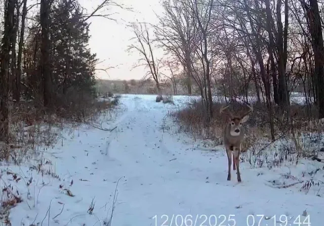 $389,000 | 18 Northeast 100th Avenue, Spickard, MO 64679