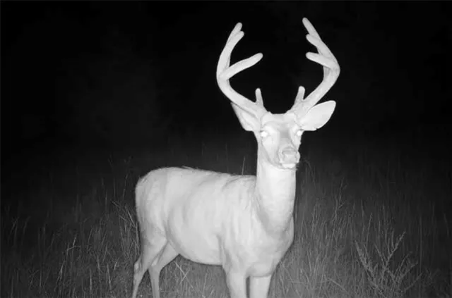 $389,000 | 18 Northeast 100th Avenue, Spickard, MO 64679