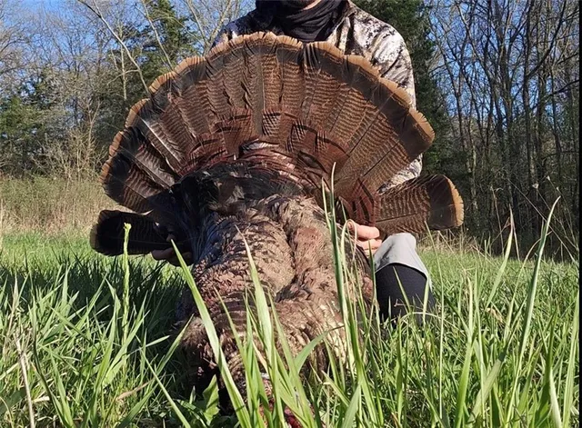 $389,000 | 18 Northeast 100th Avenue, Spickard, MO 64679