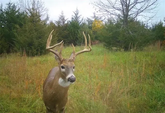 $389,000 | 18 Northeast 100th Avenue, Spickard, MO 64679