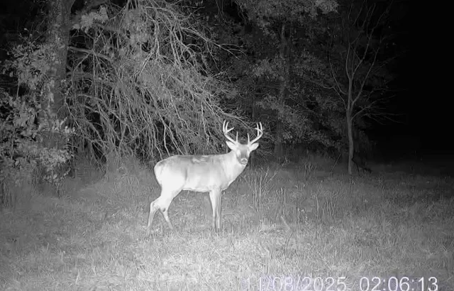 $389,000 | 18 Northeast 100th Avenue, Spickard, MO 64679