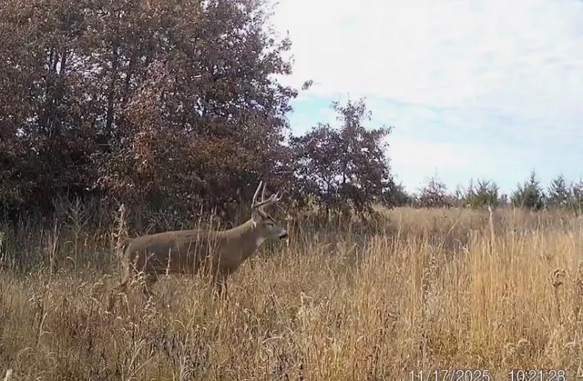 $389,000 | 18 Northeast 100th Avenue, Spickard, MO 64679