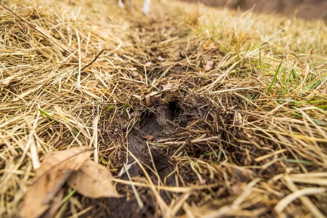 $389,000 | 18 Northeast 100th Avenue, Spickard, MO 64679