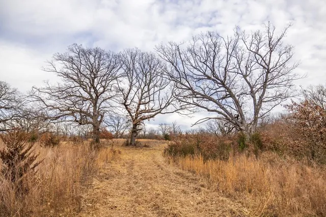 $389,000 | 18 Northeast 100th Avenue, Spickard, MO 64679