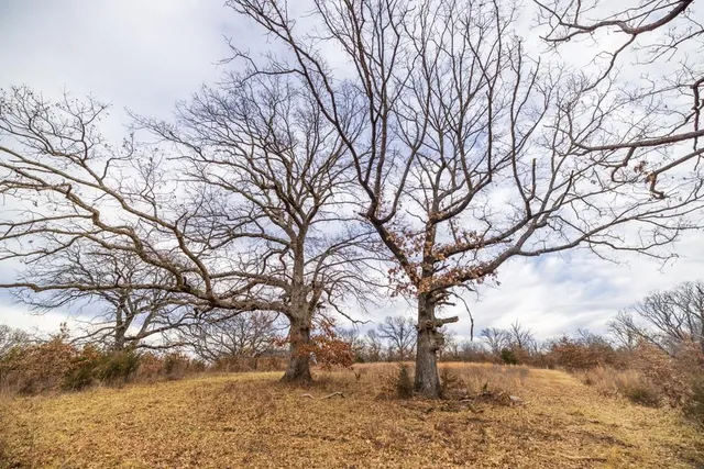 $389,000 | 18 Northeast 100th Avenue, Spickard, MO 64679