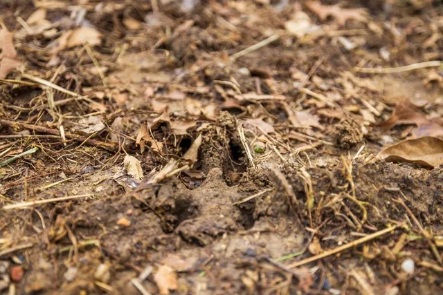 $389,000 | 18 Northeast 100th Avenue, Spickard, MO 64679