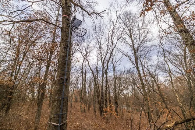 $389,000 | 18 Northeast 100th Avenue, Spickard, MO 64679