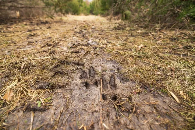 $389,000 | 18 Northeast 100th Avenue, Spickard, MO 64679