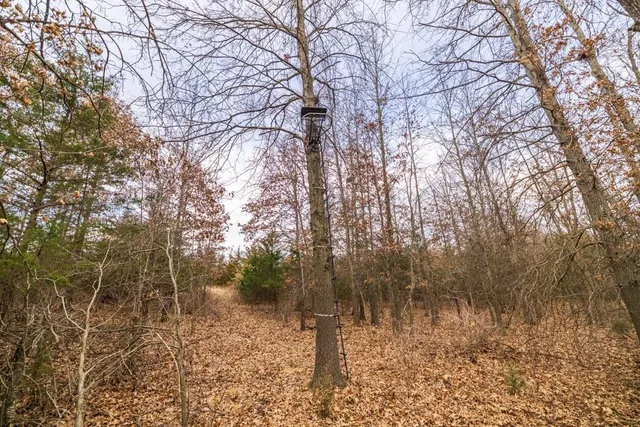 $389,000 | 18 Northeast 100th Avenue, Spickard, MO 64679