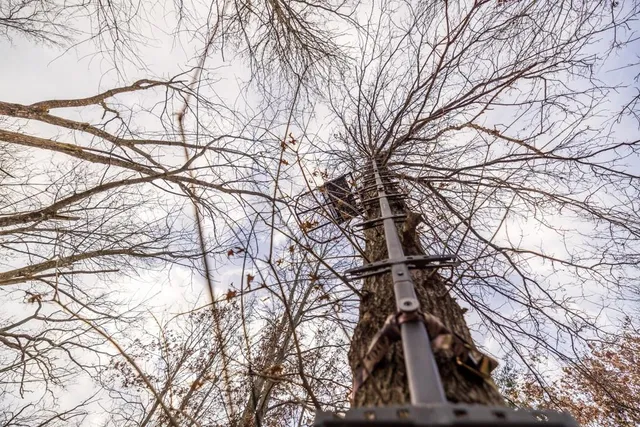 $389,000 | 18 Northeast 100th Avenue, Spickard, MO 64679