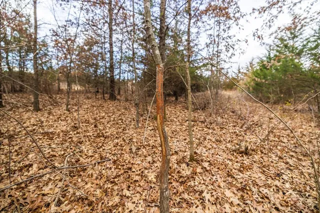 $389,000 | 18 Northeast 100th Avenue, Spickard, MO 64679