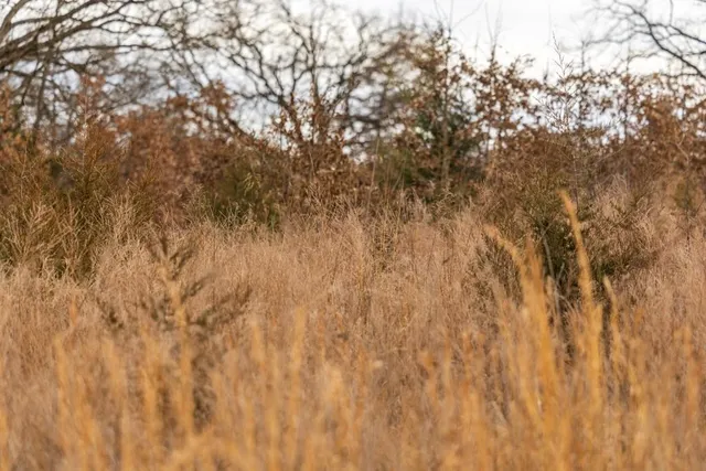 $389,000 | 18 Northeast 100th Avenue, Spickard, MO 64679