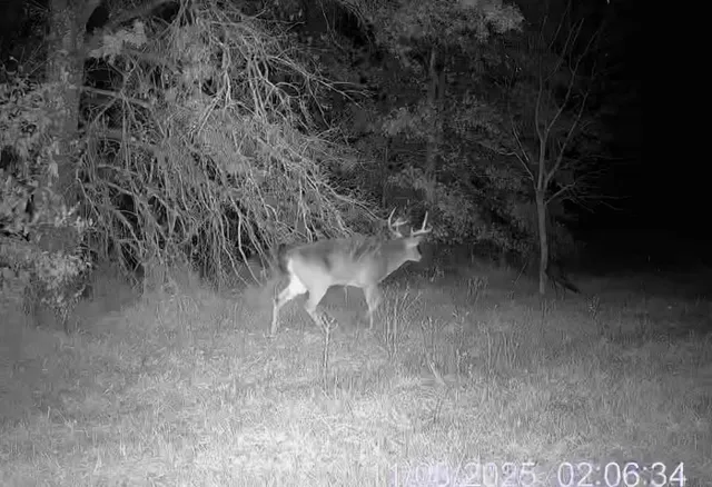 $389,000 | 18 Northeast 100th Avenue, Spickard, MO 64679