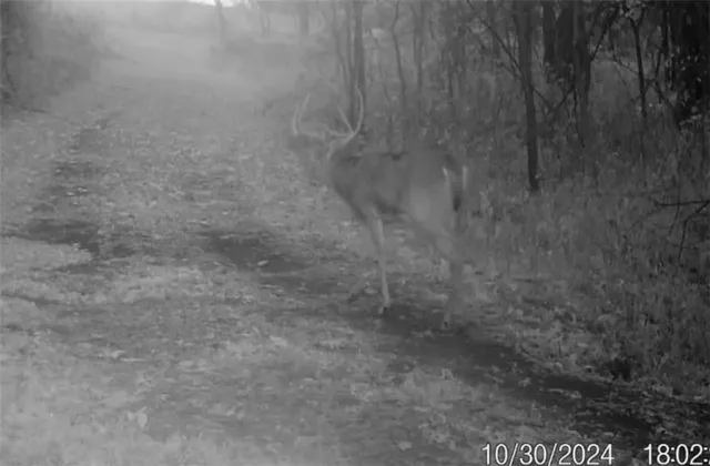 $389,000 | 18 Northeast 100th Avenue, Spickard, MO 64679