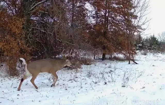 $389,000 | 18 Northeast 100th Avenue, Spickard, MO 64679