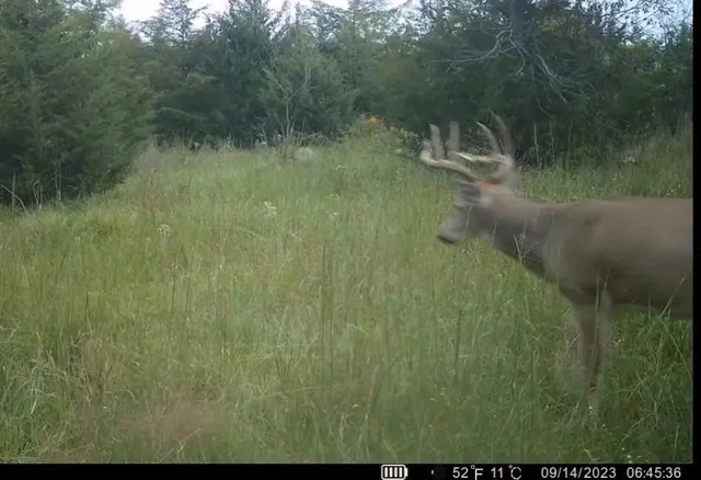 $389,000 | 18 Northeast 100th Avenue, Spickard, MO 64679