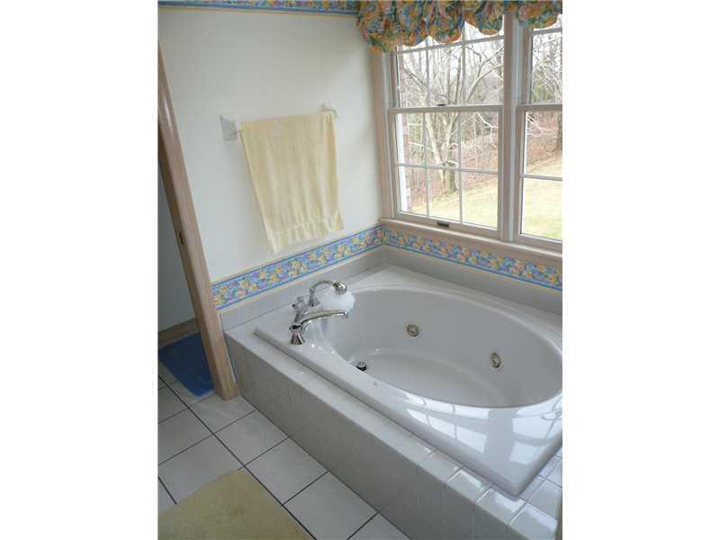 441 Pinkerton Road Wexford, PA 15090 - Photo 15 of 23 Master Bath/Spa.