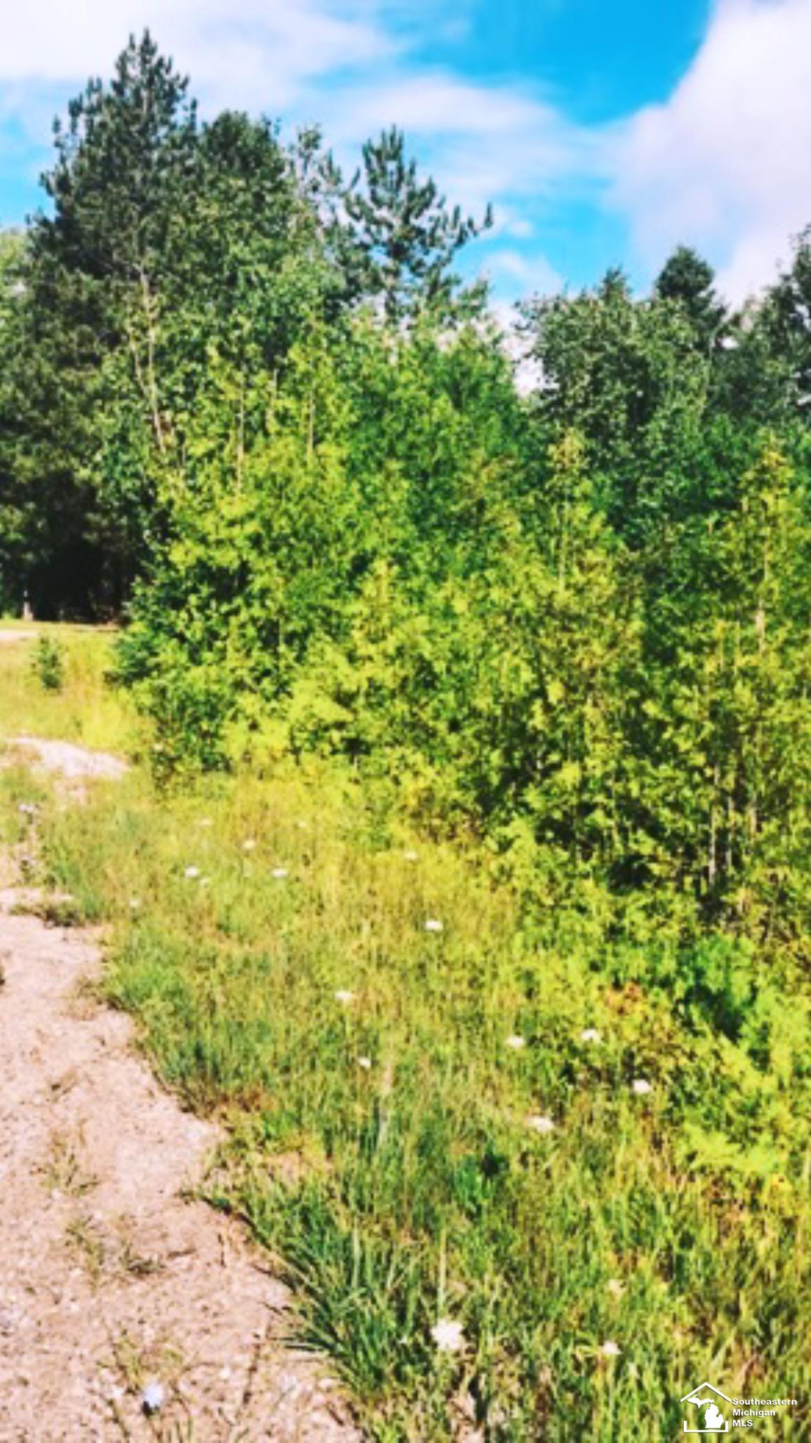 0 Grace Harbor Road Millersburg, MI 49759 - Photo 1 of 6